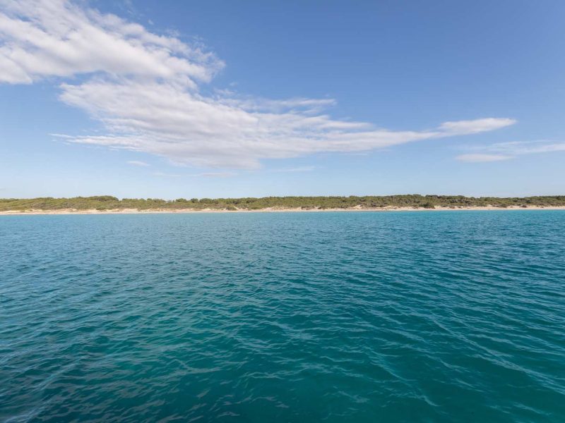 salento-sunshine-noleggio-yacht-in-barca-gallipoli-porto-cesareo_82